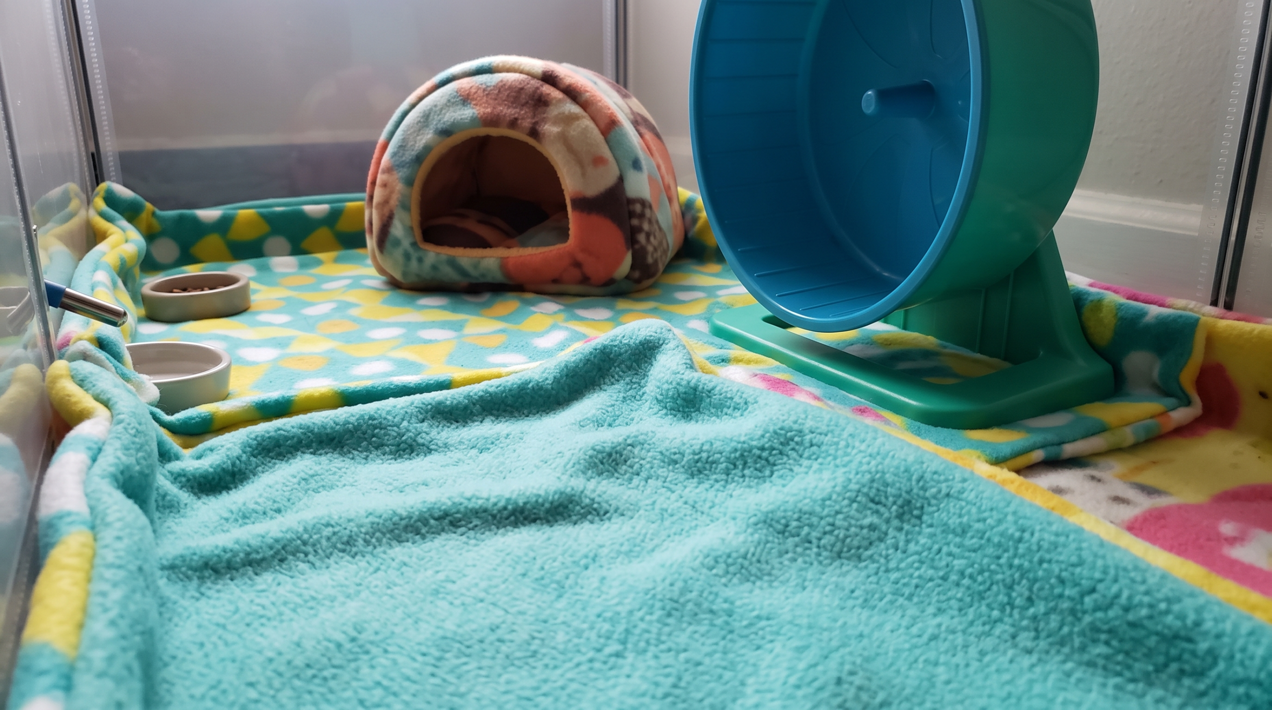 A clean hedgehog enclosure utilizing washable fleece liners as a safe, dust-free substrate alternative.